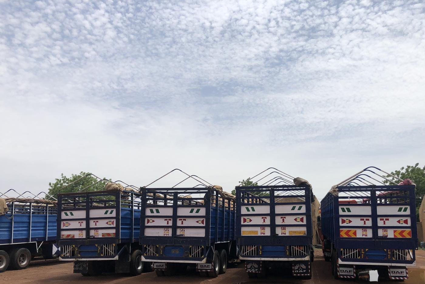 Rear view of Bazuwa Motors cargo trucks loaded and ready for haulage